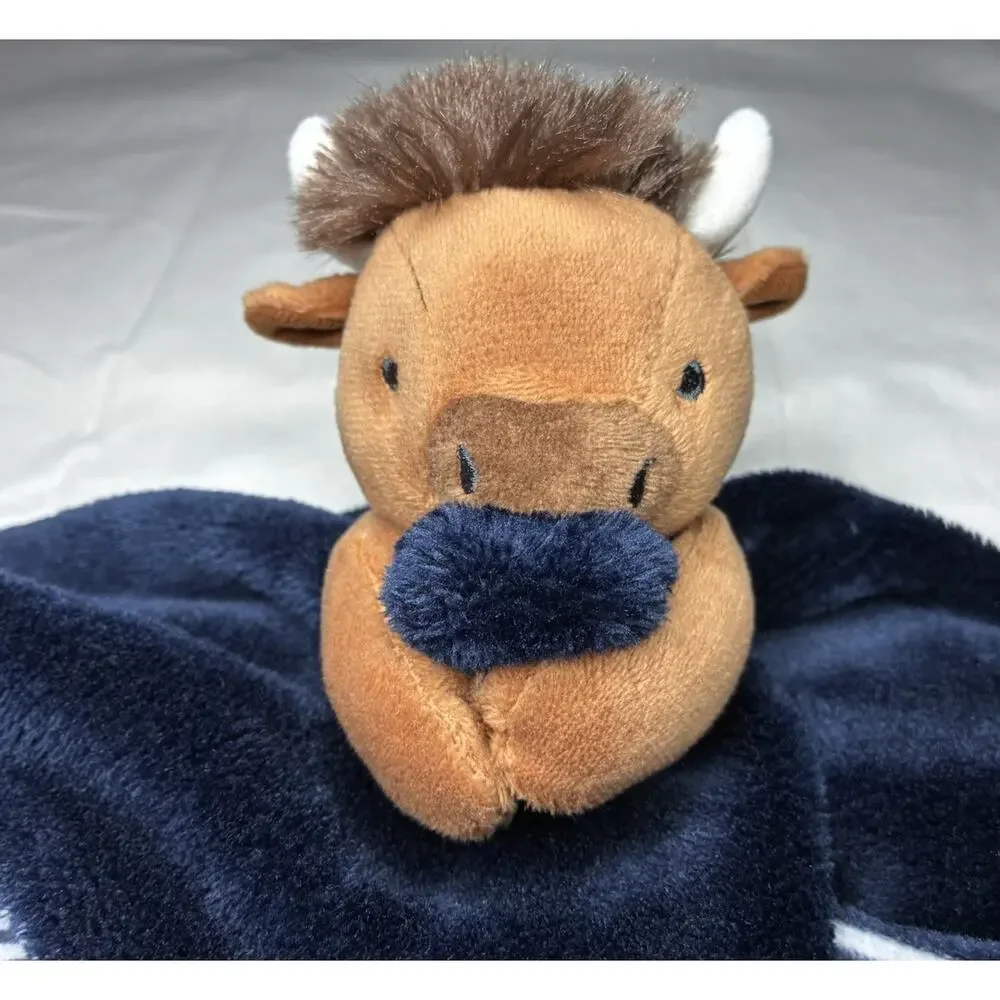 Carters 14” lovey